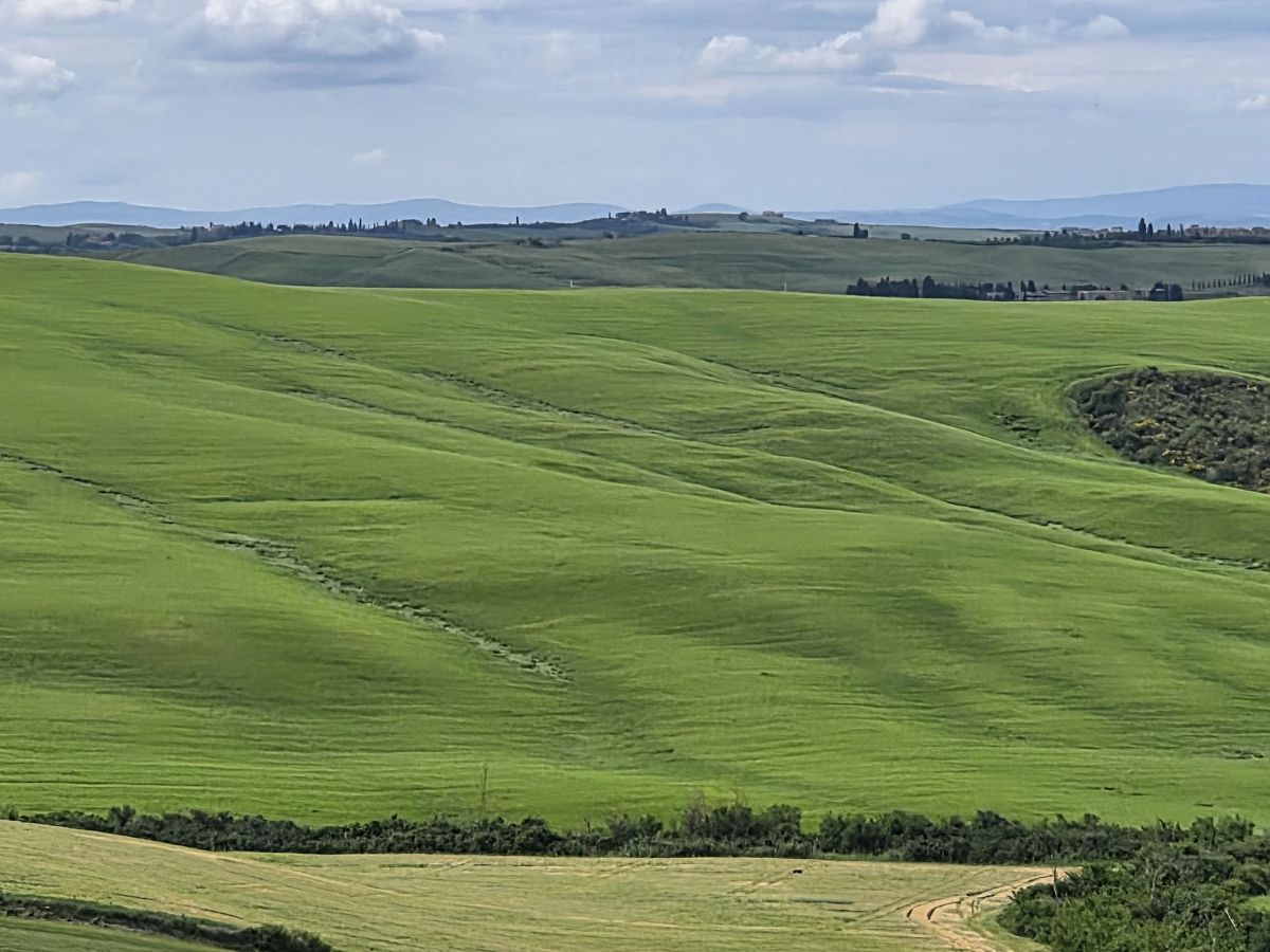 Weite grüne Hügellandschaft